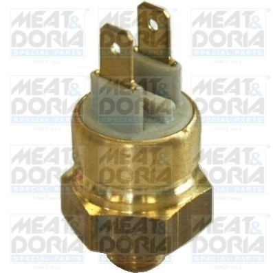 Temperature Switch, coolant warning lamp